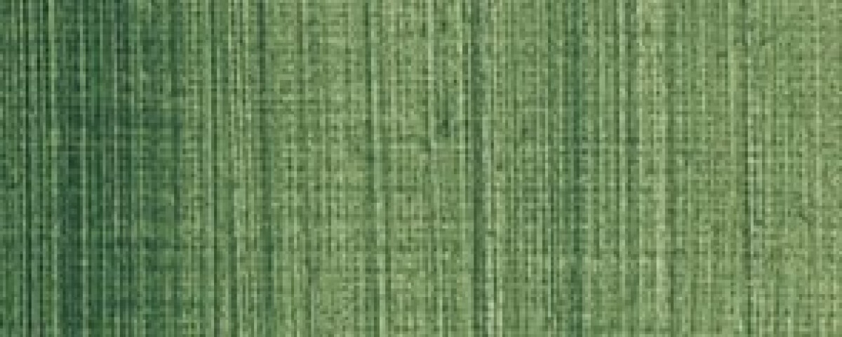 Olejová barva Sennelier Extra-fine 40ml – 213 Green earth