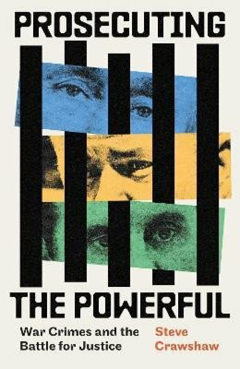 Kniha Prosecuting the Powerful