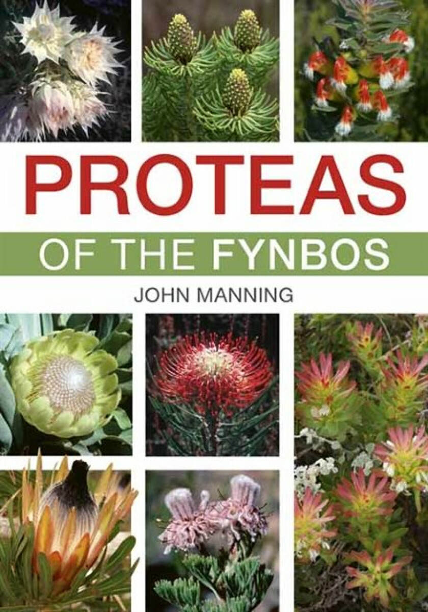 Kniha Proteas of the Fynbos