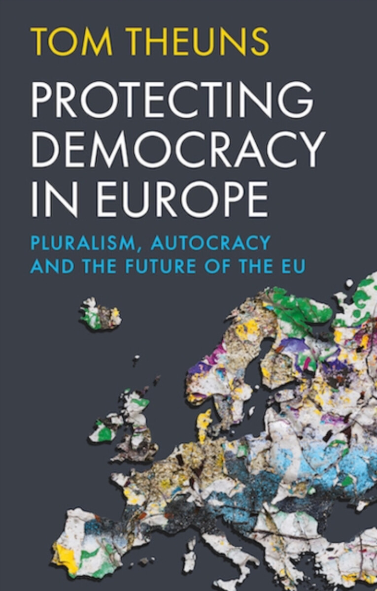 Kniha Protecting Democracy in Europe