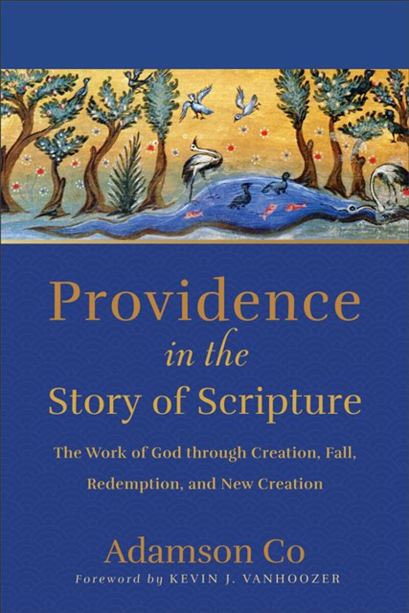 Kniha Providence in the Story of Scripture