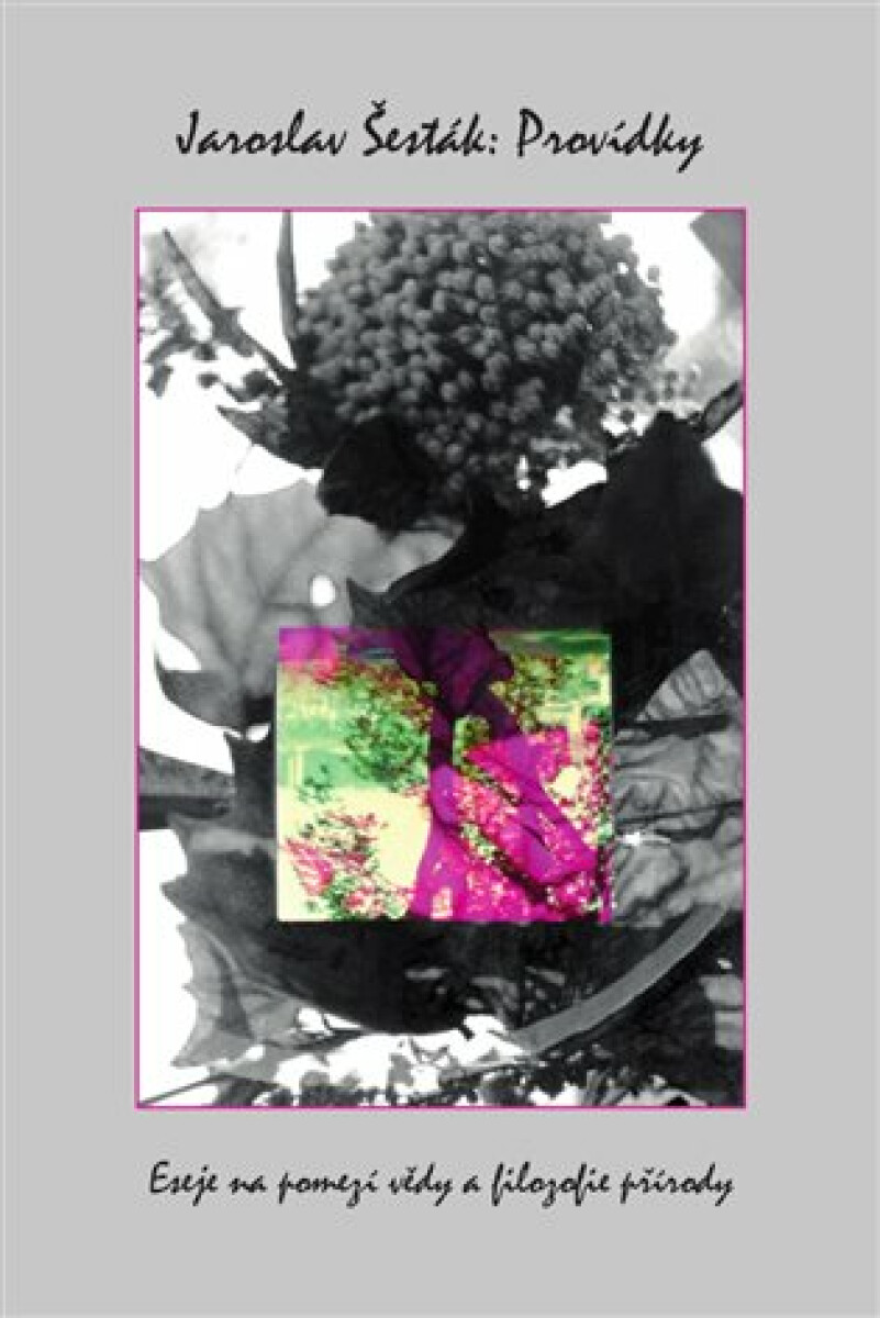 Kniha Provídky: eseje na pomezí vědy a filozofie přírody