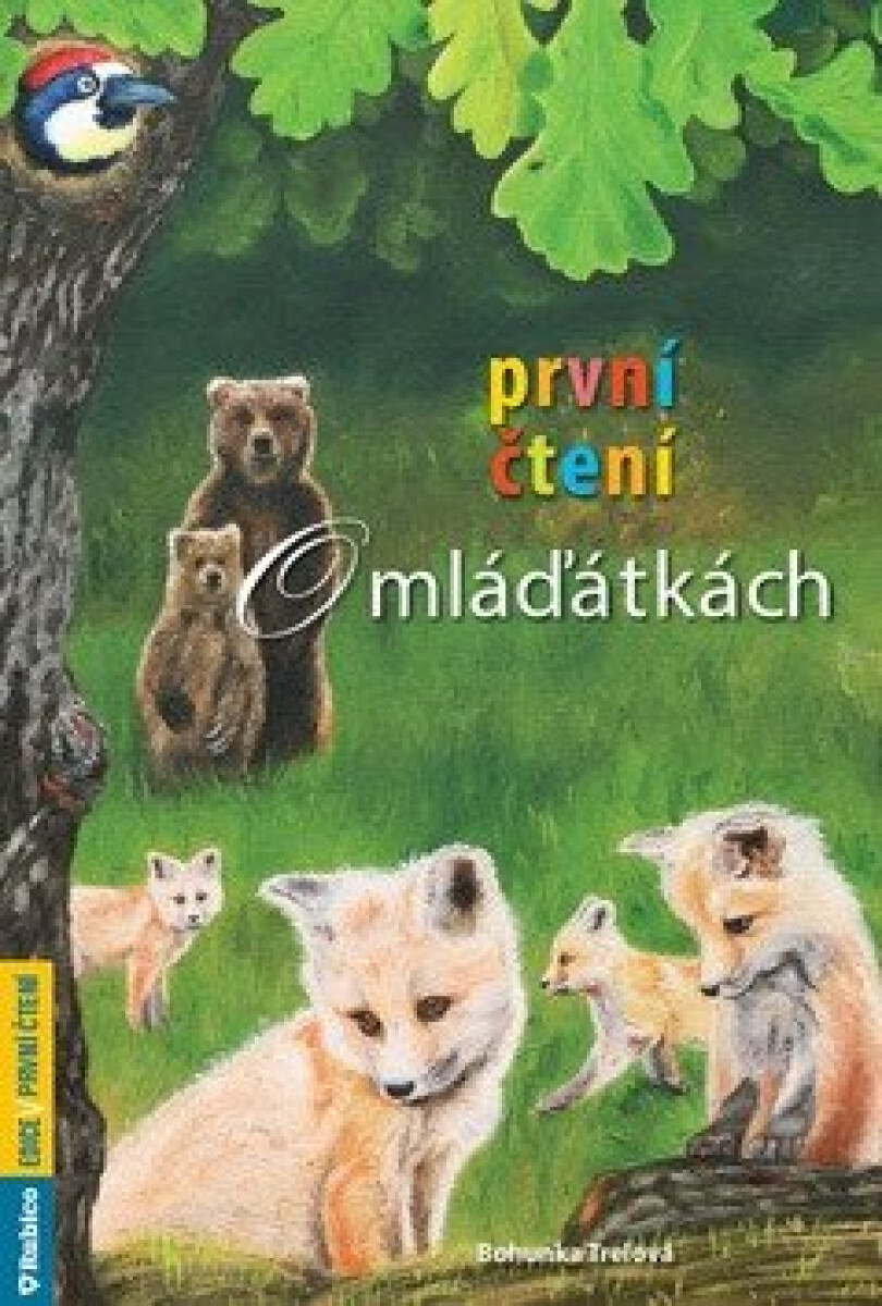 Kniha První čtení