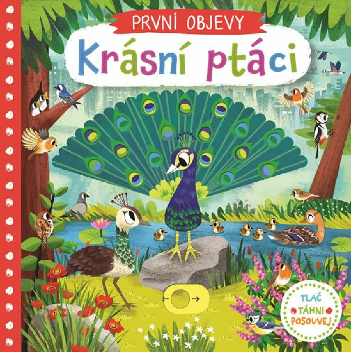 Levně Krásní ptáci - Chorkung