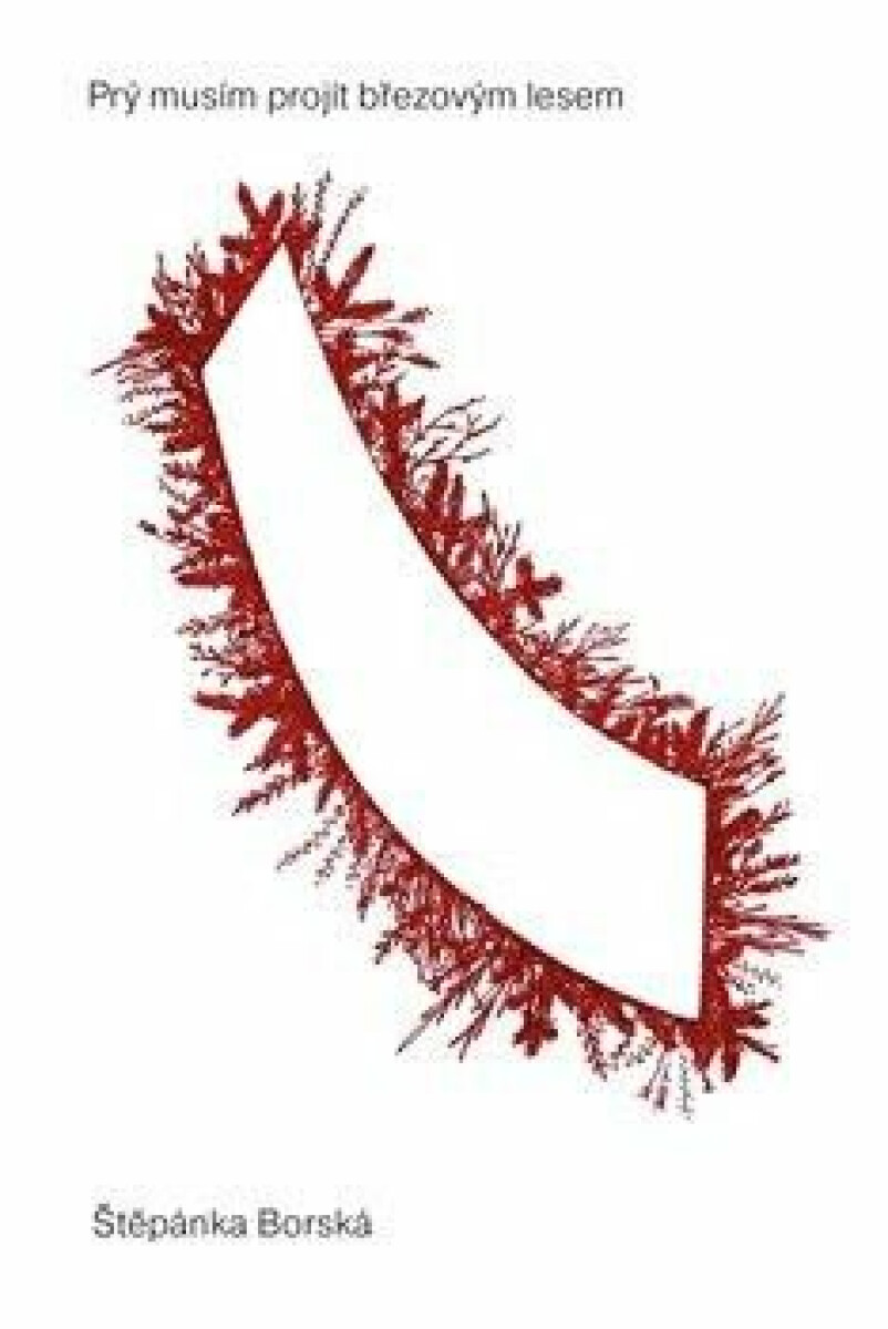 Kniha Prý musím projít březovým lesem