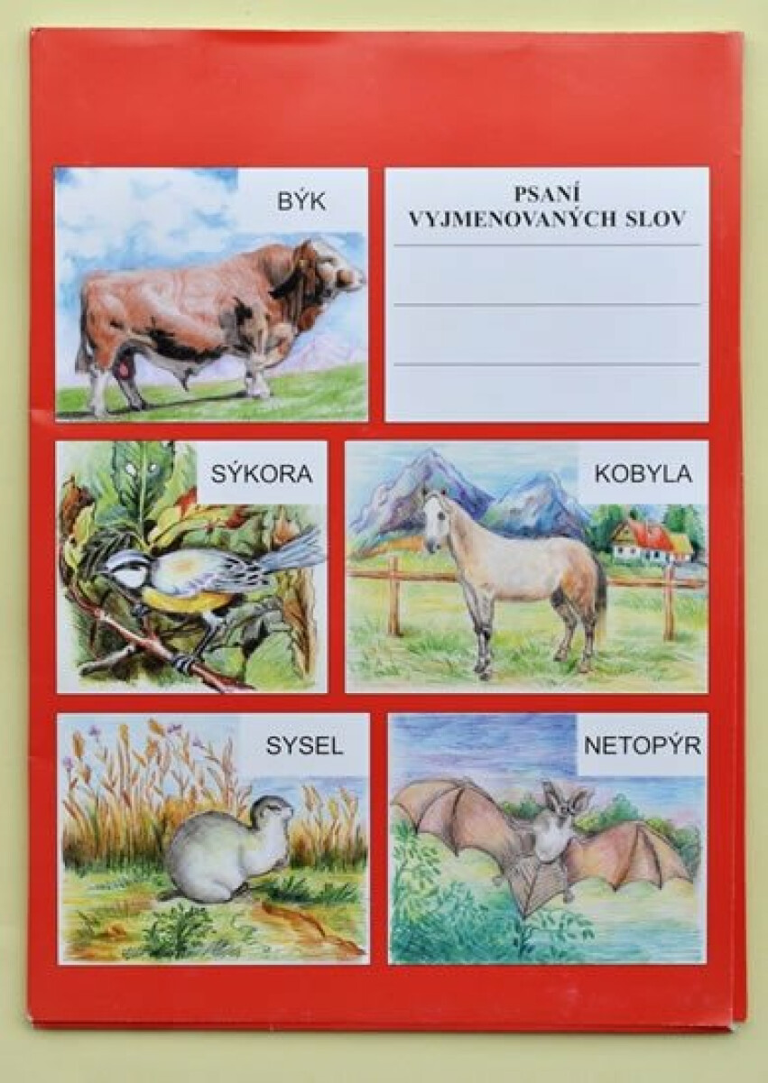 Kniha Psaní vyjmenovaných slov