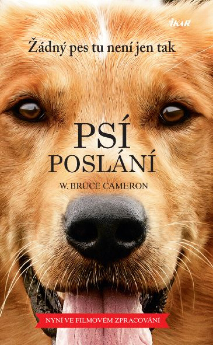 Psí poslání - W. Bruce Cameron