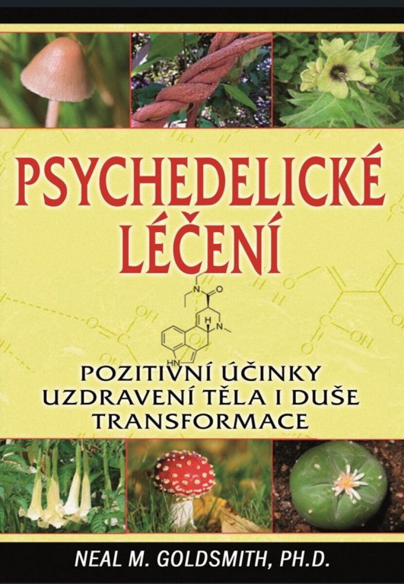 Psychedelické léčení