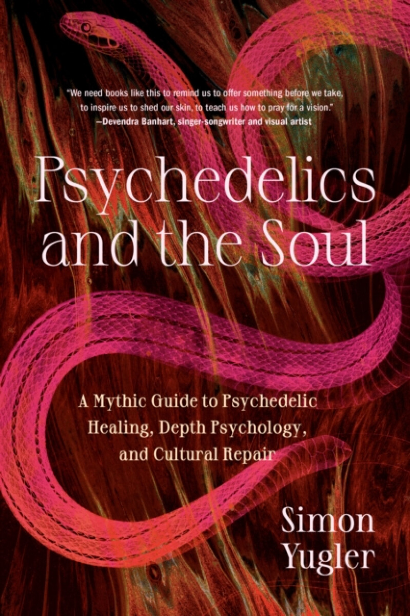 Kniha Psychedelics and the Soul