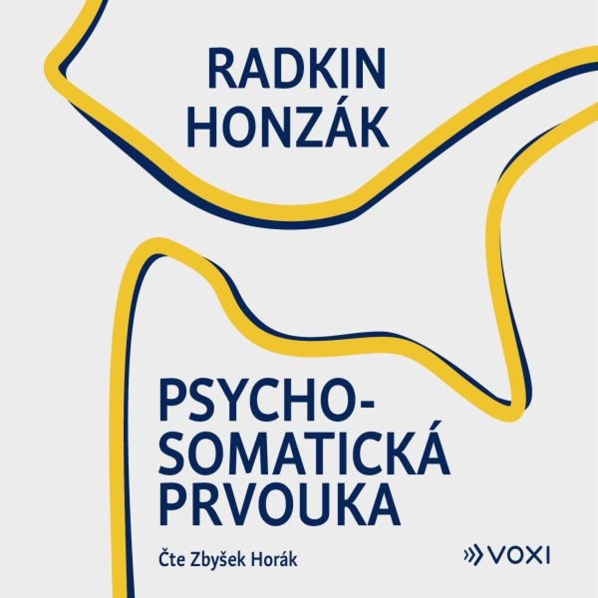 Levně Psychosomatická prvouka - Radkin Honzák - audiokniha