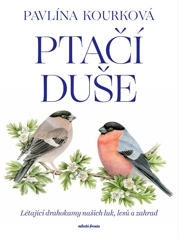 Kniha Ptačí duše - Létající drahokamy našich luk, zahrad a lesů