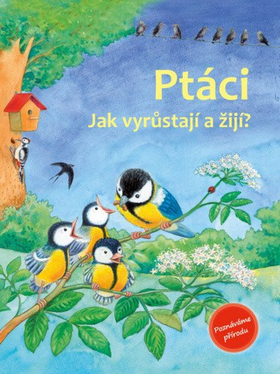 Kniha Ptáci - Jak vyrůstají a žijí?