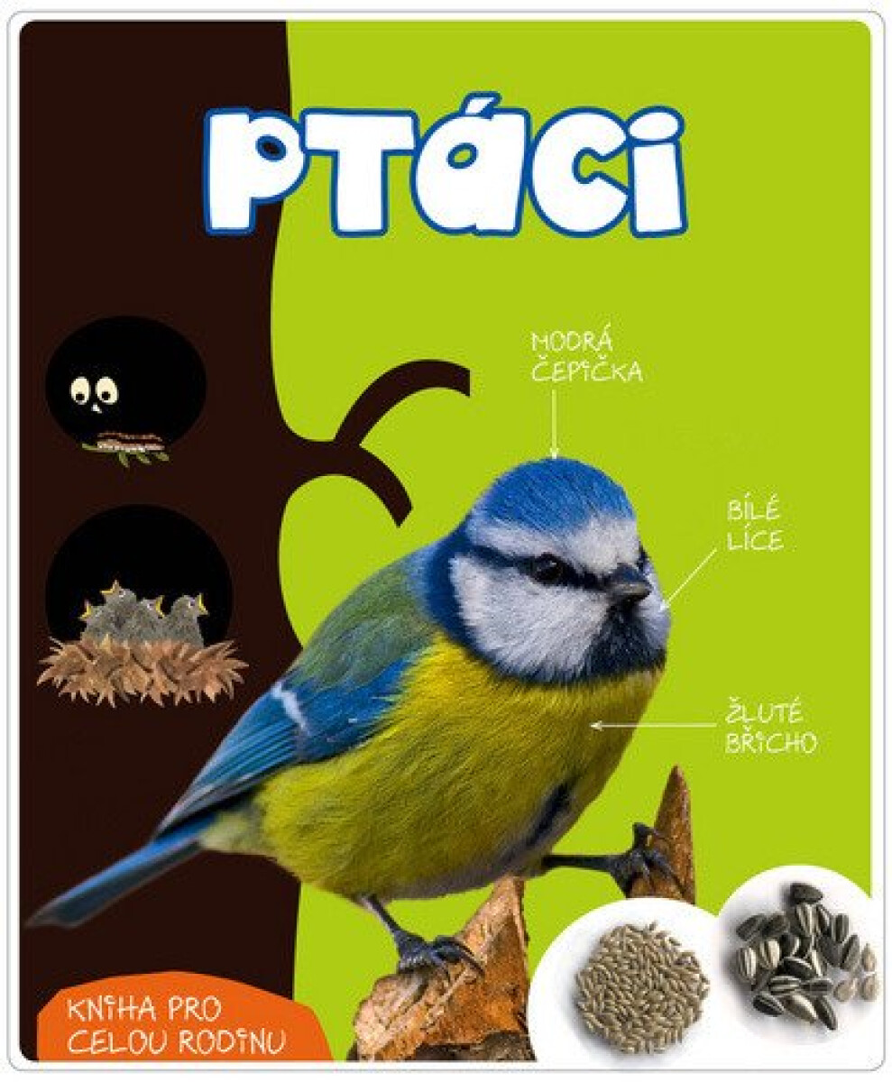 Kniha Ptáci