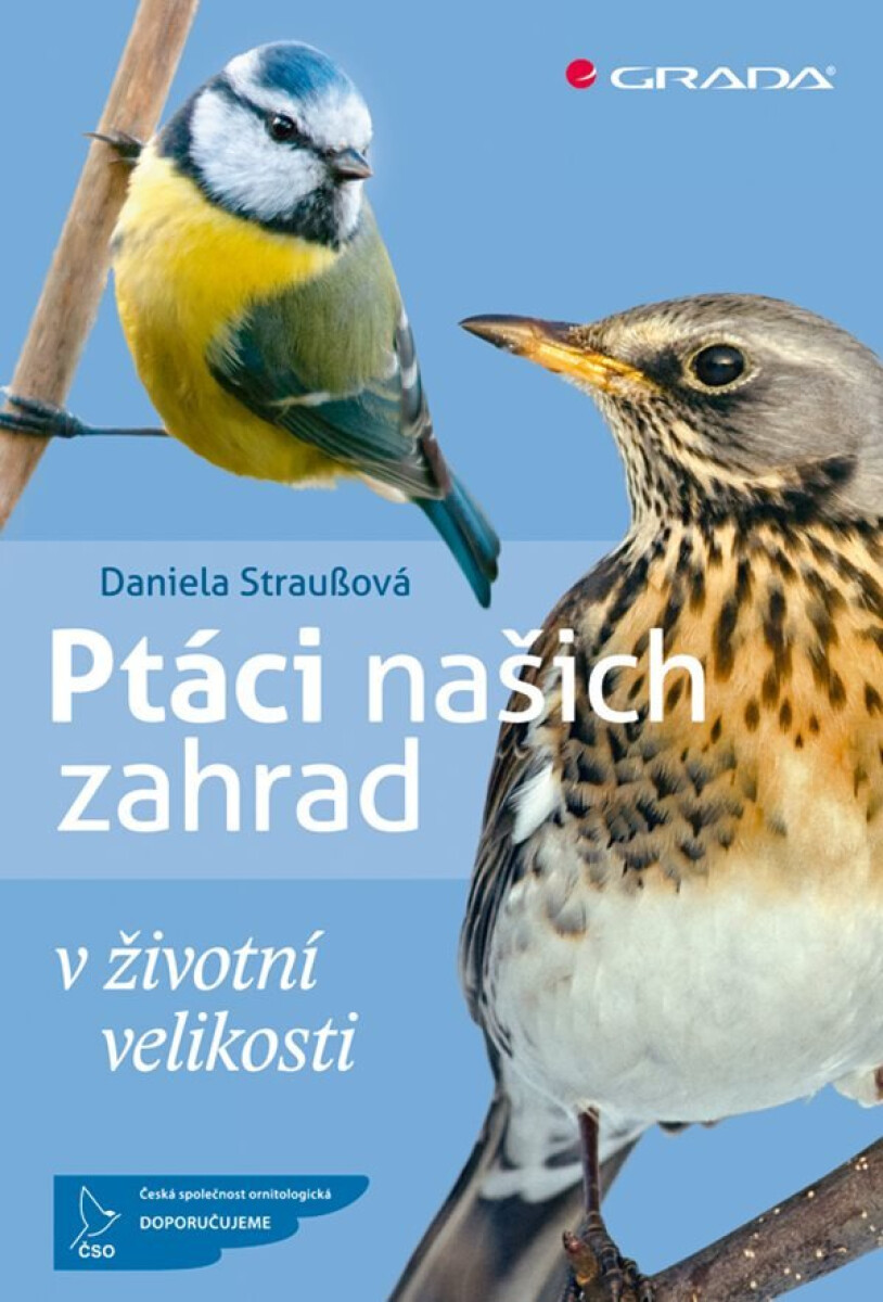Ptáci našich zahrad v životní velikosti koupíte na Knihydobrovsky.cz