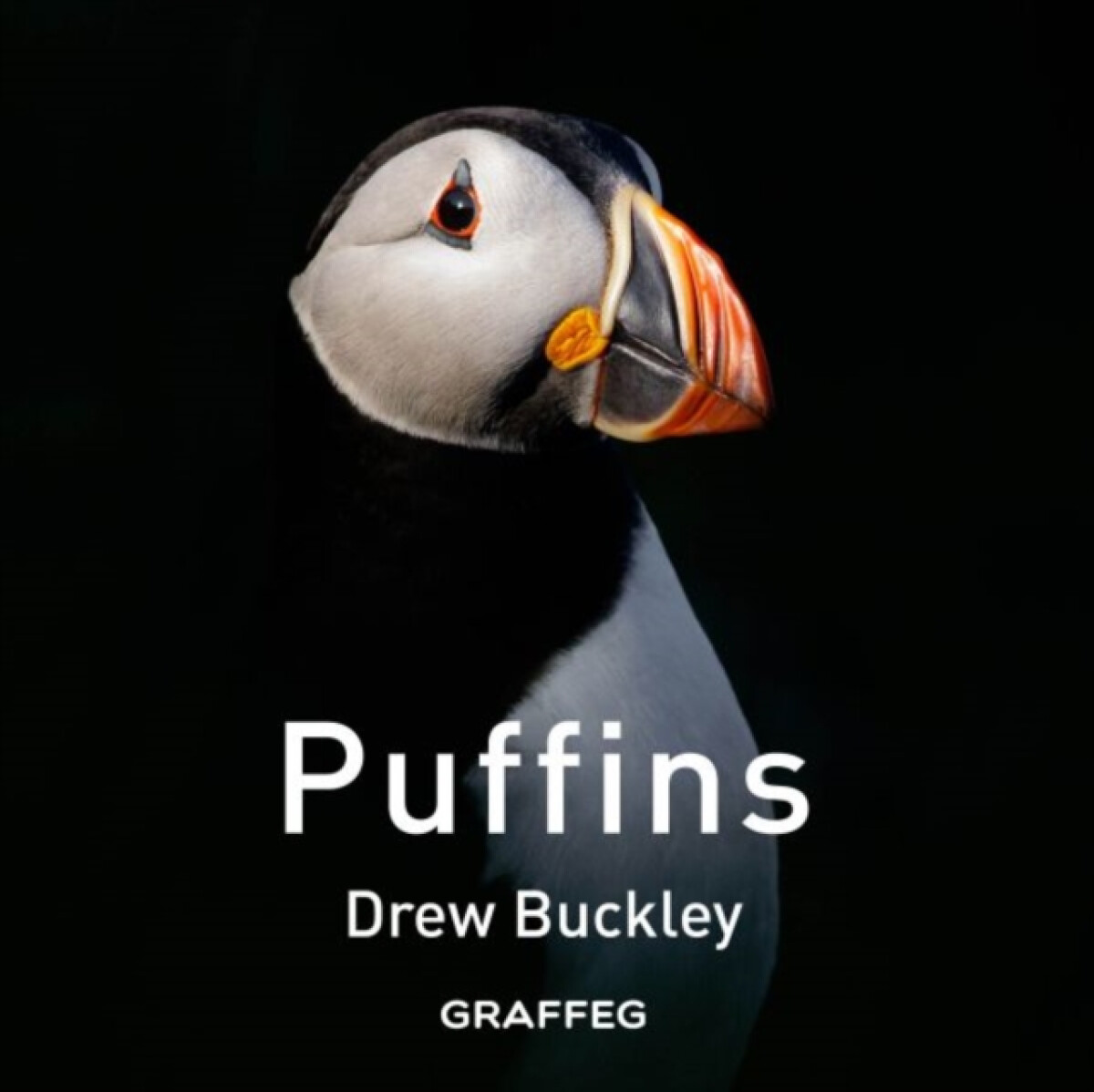 Kniha Puffins
