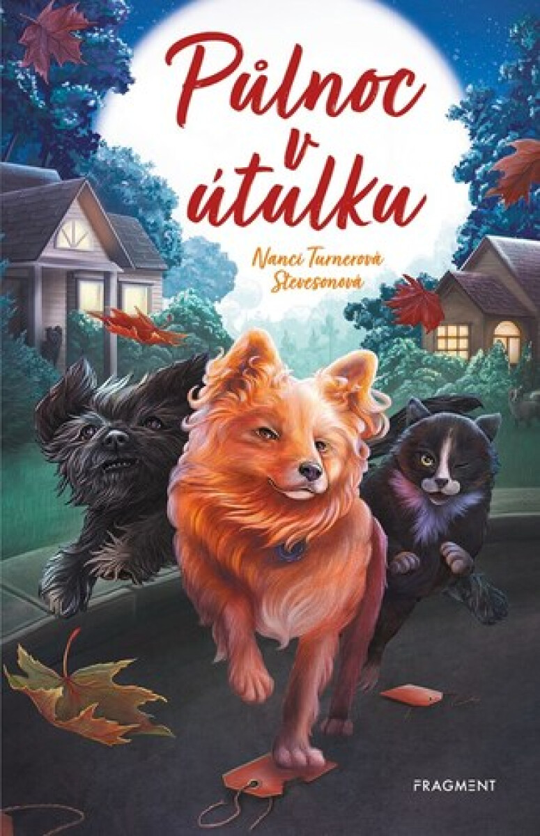 Kniha Půlnoc v útulku