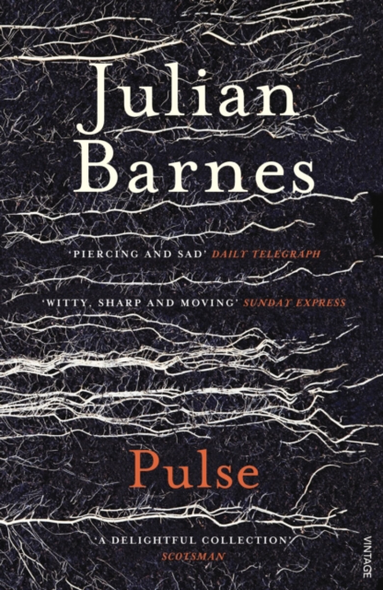 Kniha Julian Barnes: Pulse