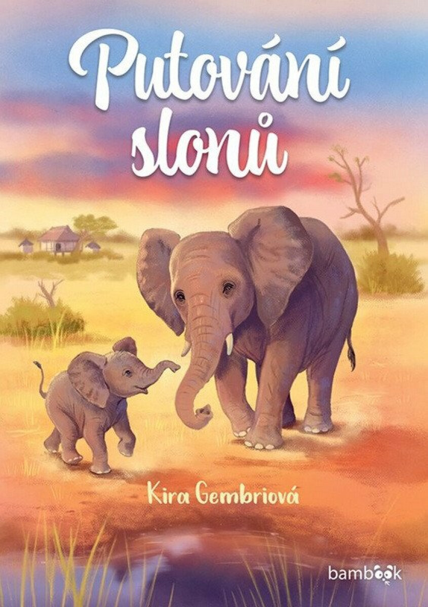 Kniha Putování slonů