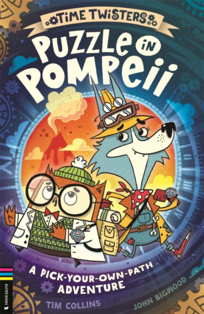 Kniha Puzzle in Pompeii
