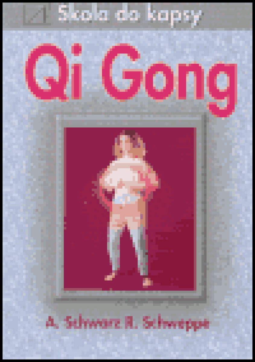 Kniha Qi Gong