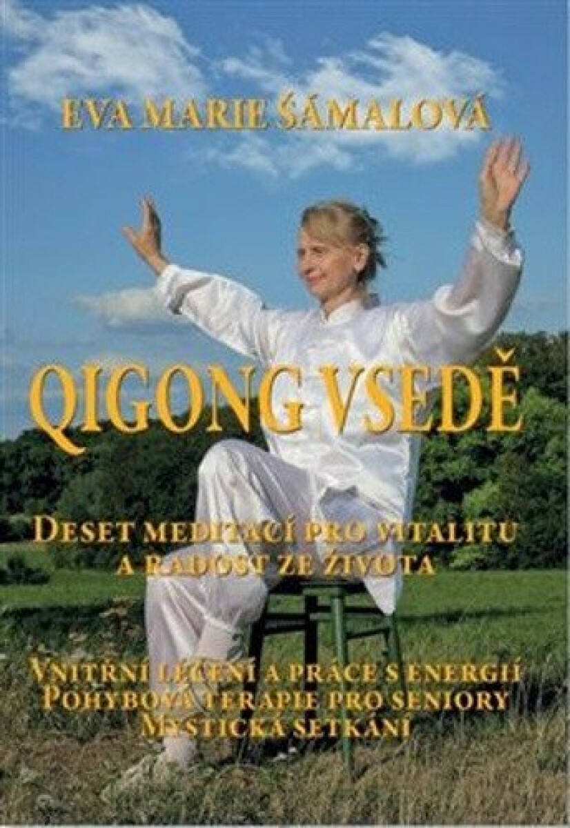 Kniha Qigong vsedě