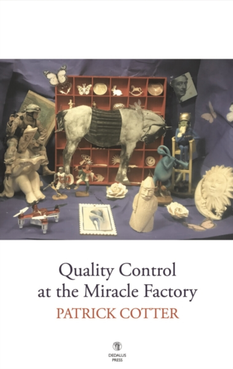 Kniha Quality Control at the Miracle Factory