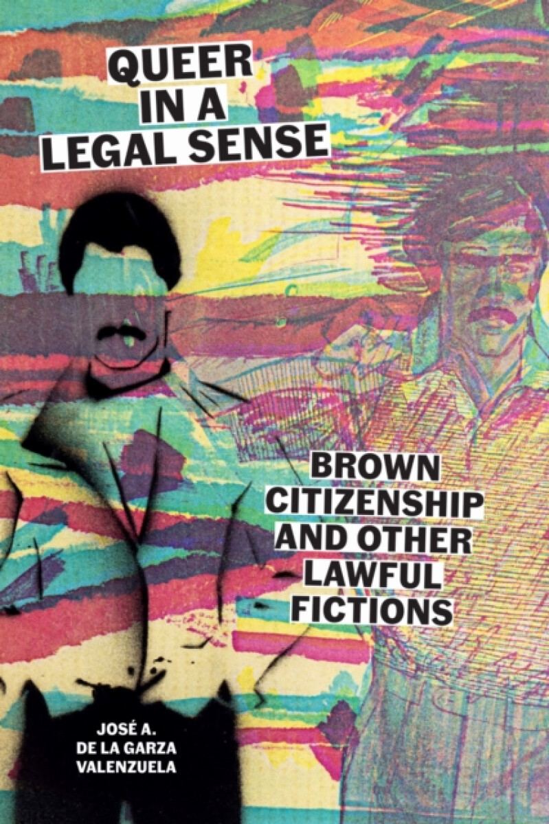 Kniha Queer in a Legal Sense