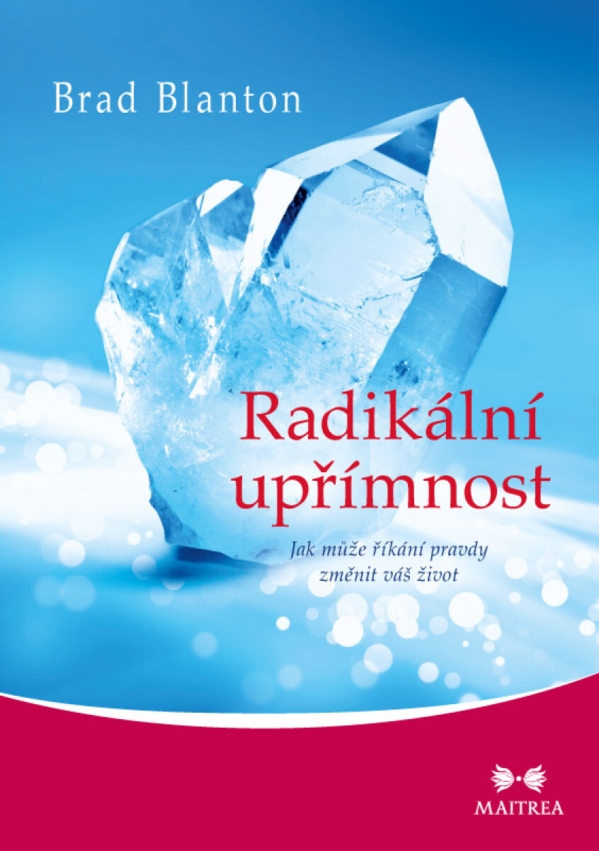Radikální upřímnost - Blanton Brad
