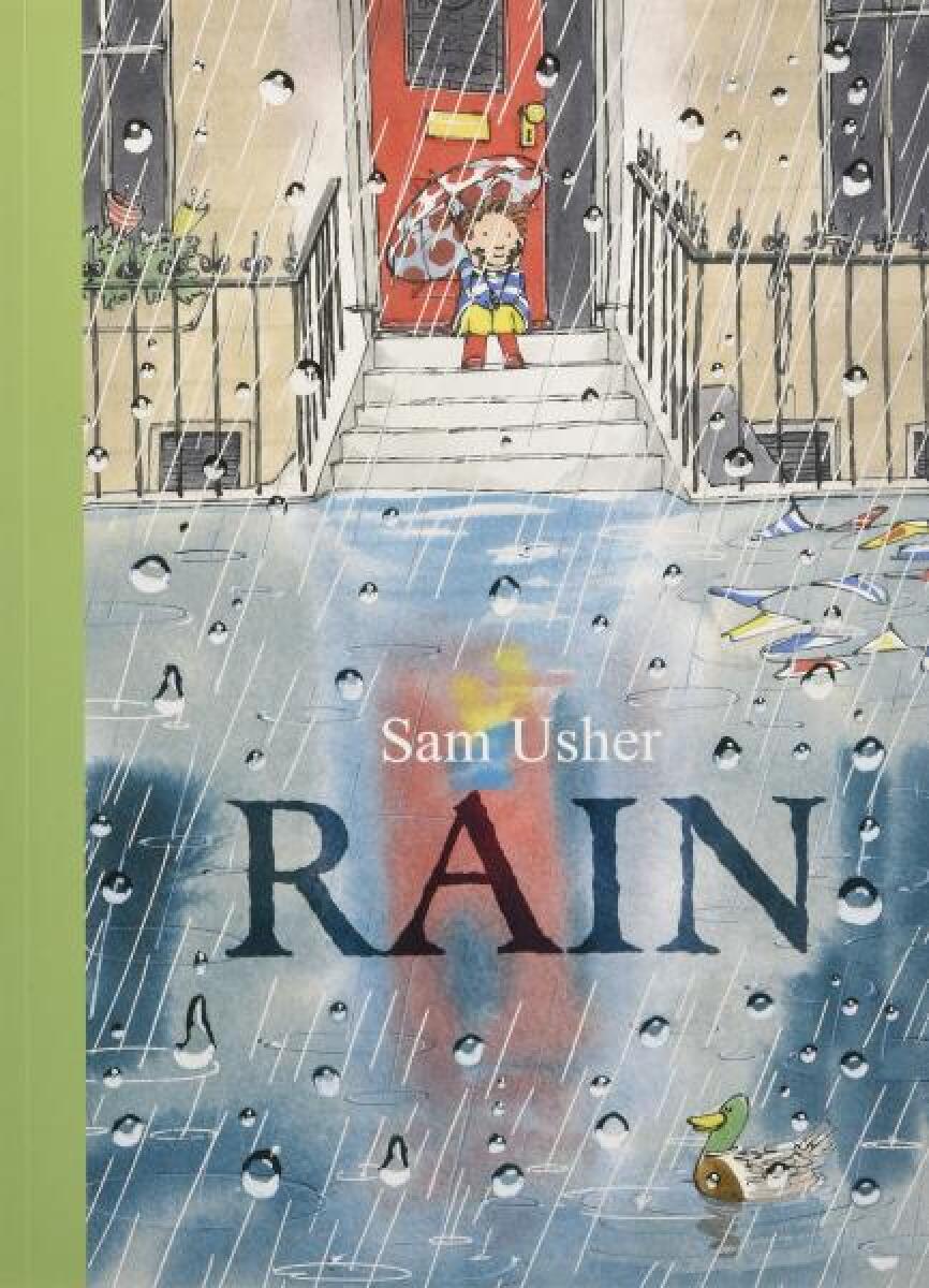 Kniha Rain