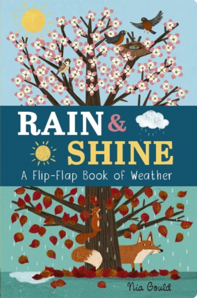 Kniha Rain a Shine: A Flip-Flap Book of Weather