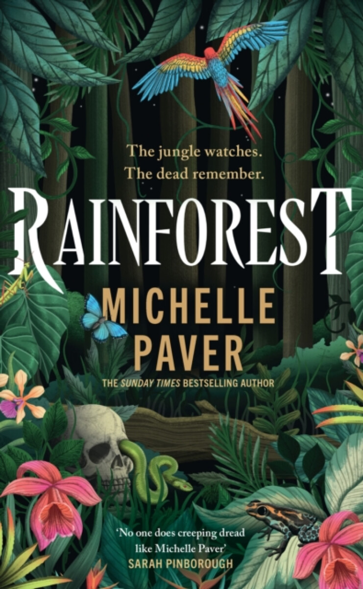 Kniha Rainforest