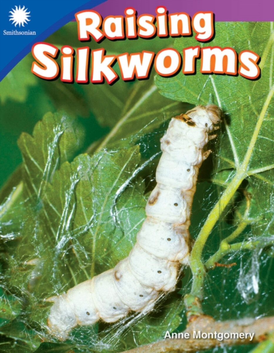 Kniha Raising Silkworms