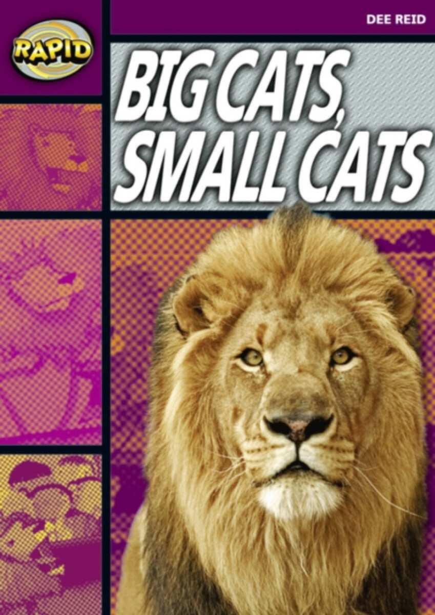 Kniha Rapid Reading: Big Cats Small Cats (Stage 1, Level 1A)