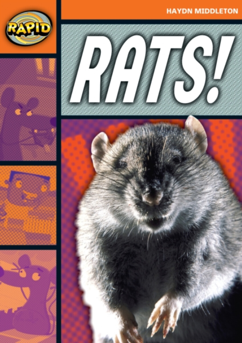 Kniha Rapid Reading: Rats! (Stage 4, Level 4B)