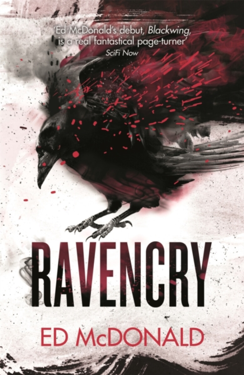 Kniha Ravencry