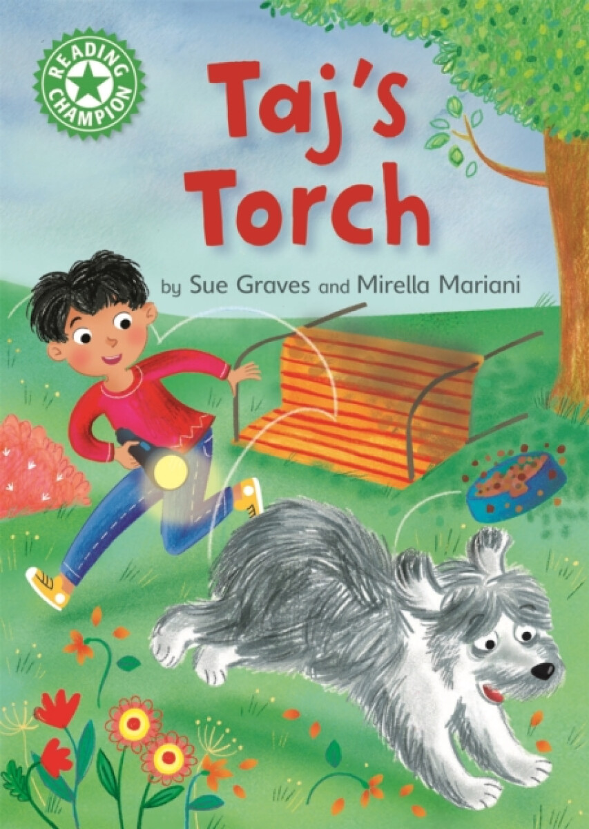 Levně Reading Champion: Taj's Torch - Sue Graves