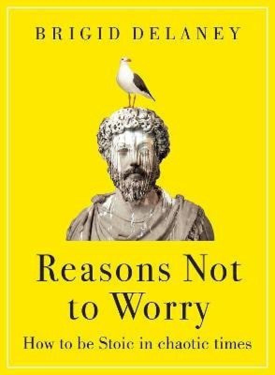 Kniha Reasons Not to Worry