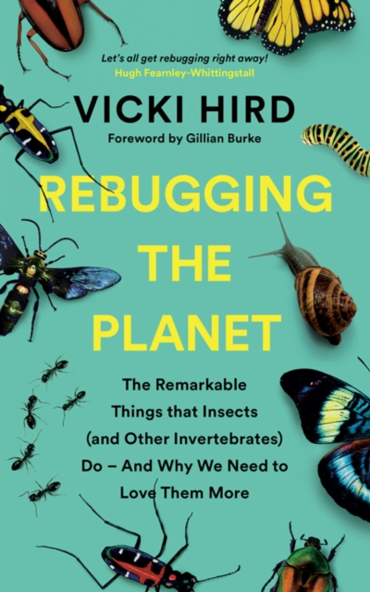 Kniha Rebugging the Planet