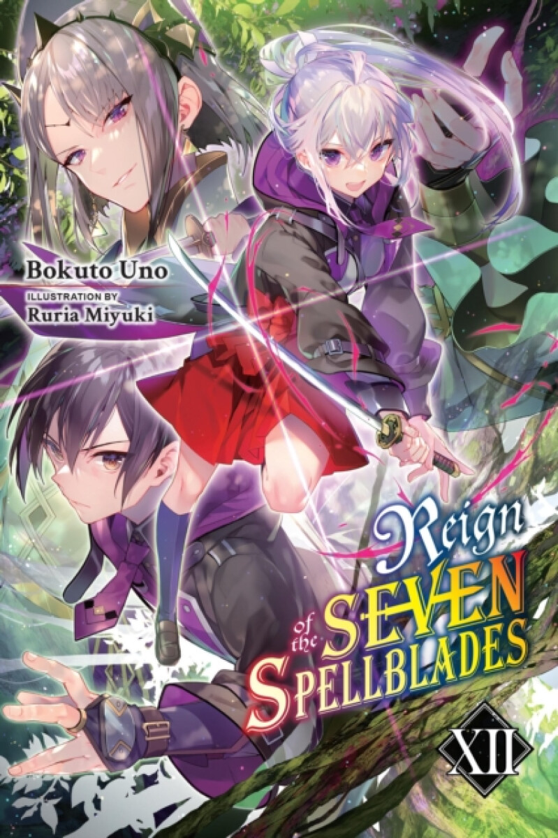 Kniha Reign of the Seven Spellblades, Vol. 12 (light novel)