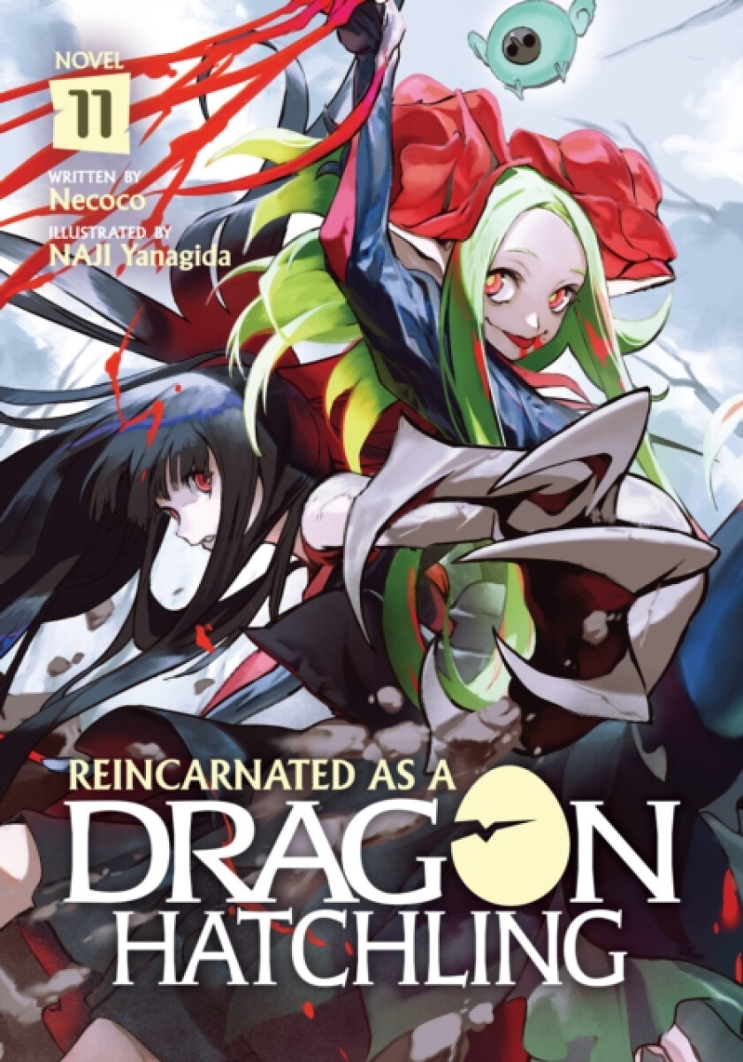 Kniha Reincarnated as a Dragon Hatchling (Light Novel) Vol. 11