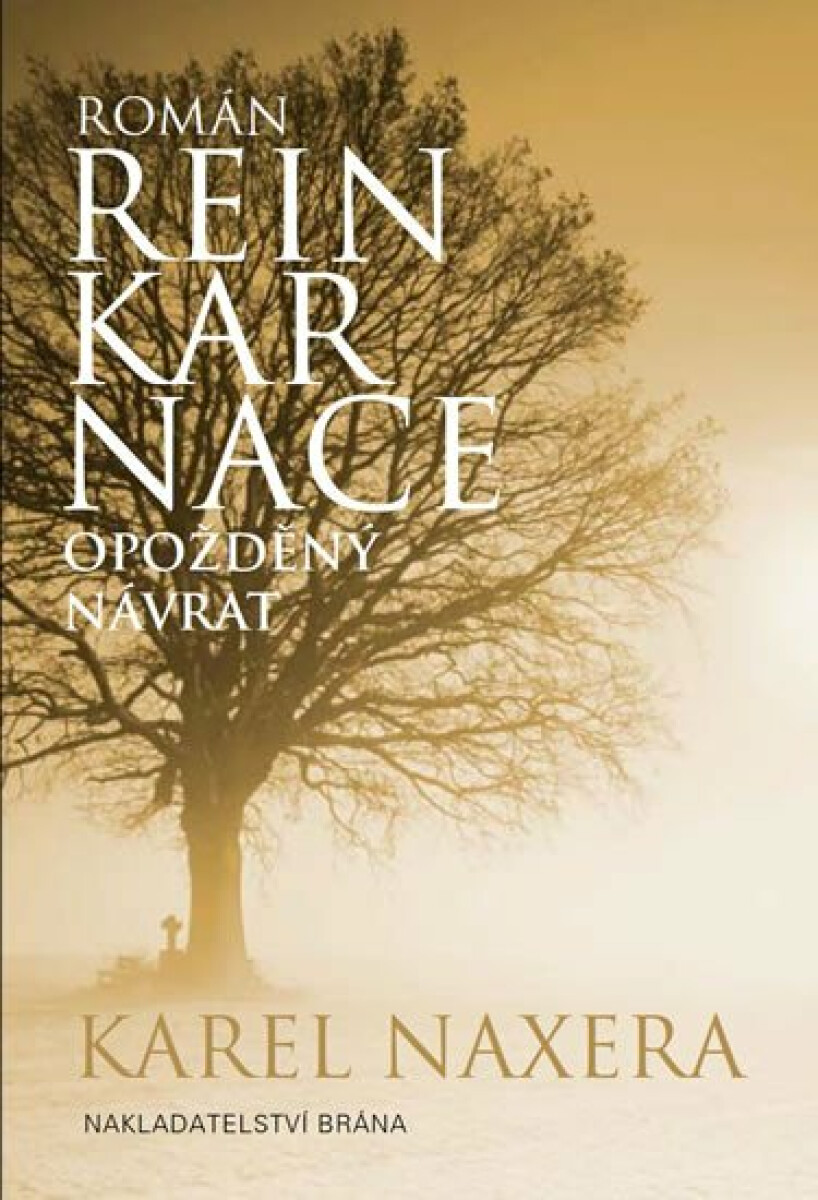 Kniha Reinkarnace - Opožděný návrat