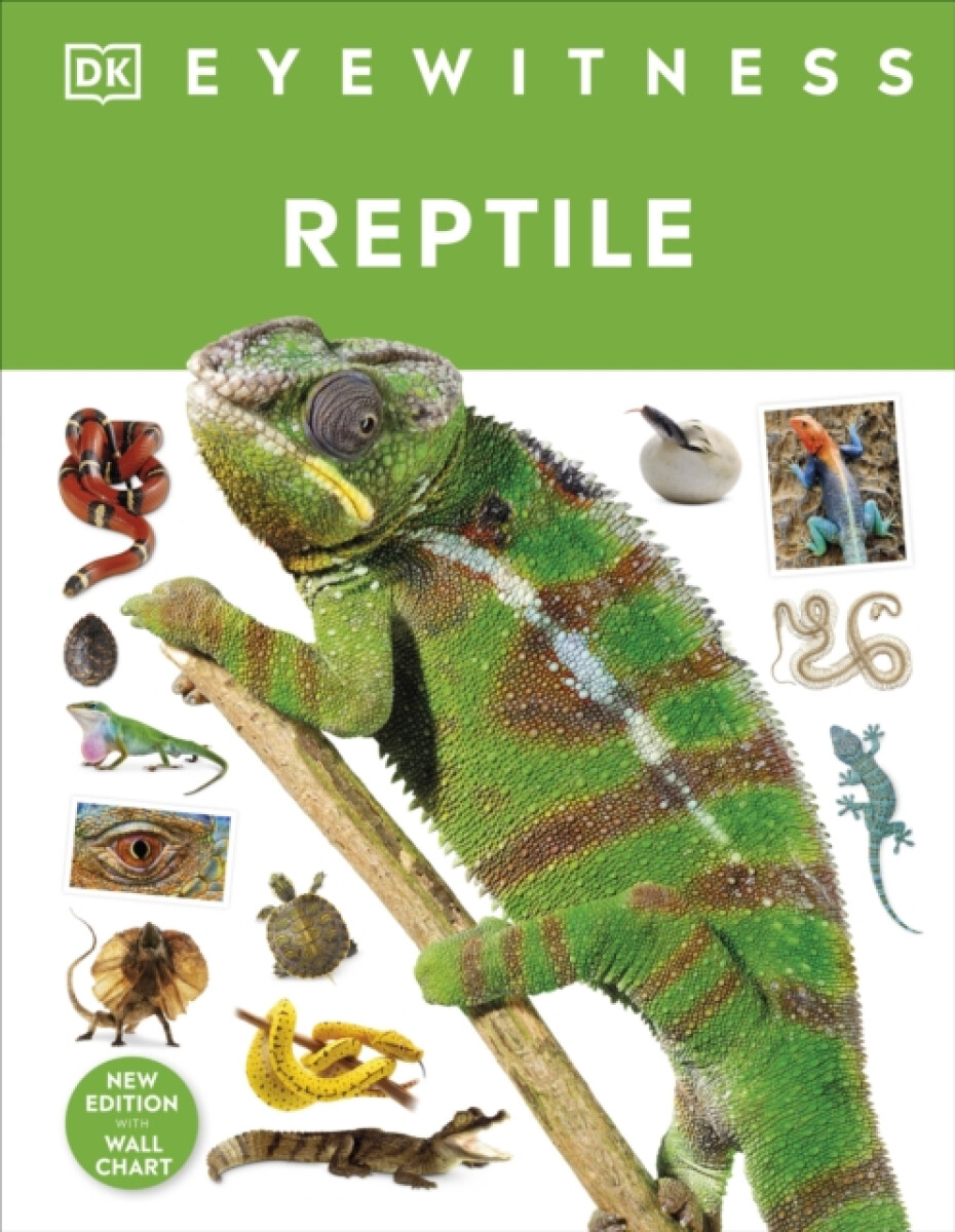 Kniha Reptile