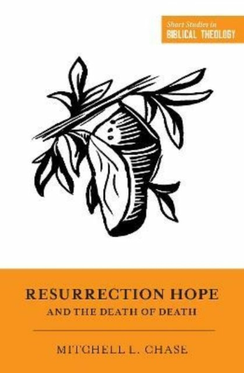 Kniha Resurrection Hope and the Death of Death