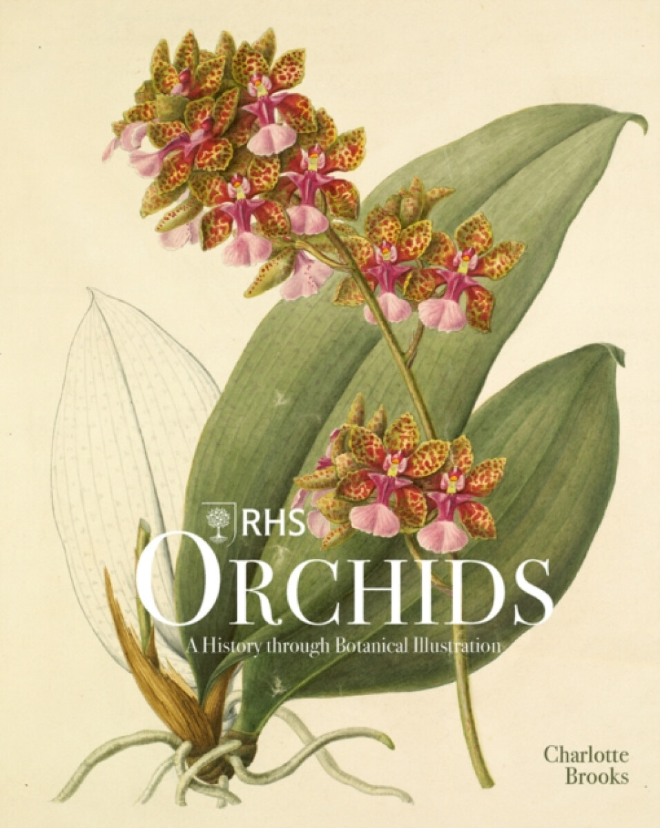 Kniha RHS Orchids