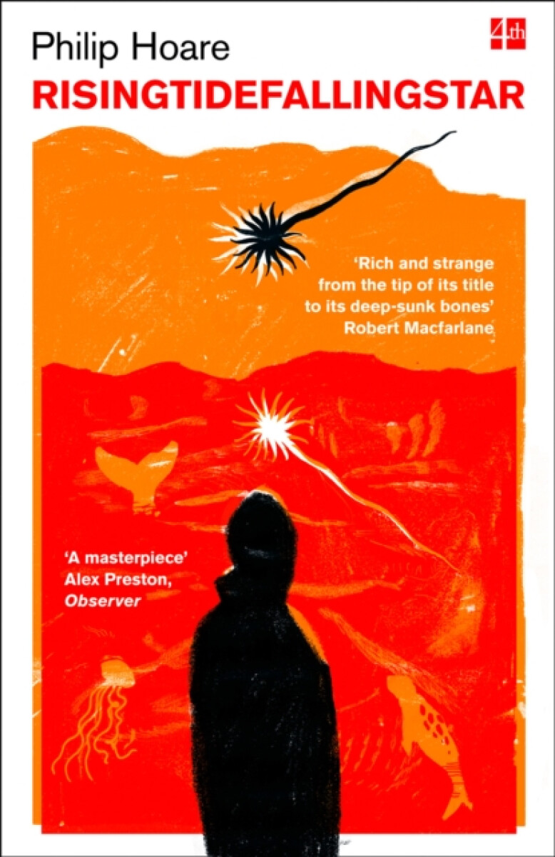 Kniha RISINGTIDEFALLINGSTAR