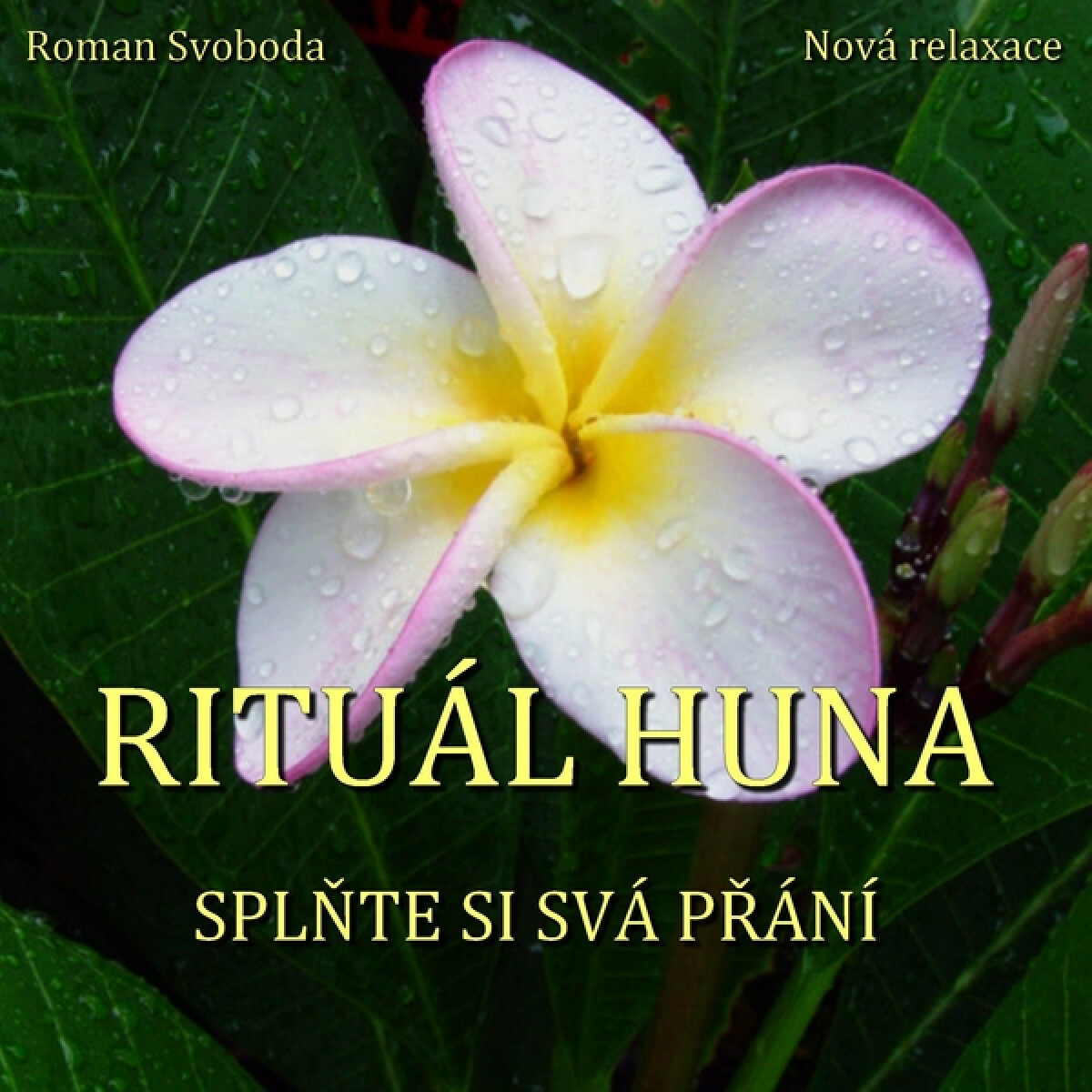 Levně Rituál HUNA - splňte si svá přání - audiokniha