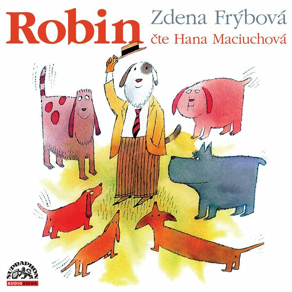 Levně Robin - Zdena Frýbová - audiokniha