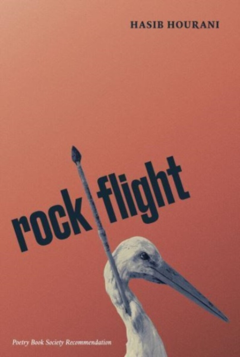 Kniha rock flight