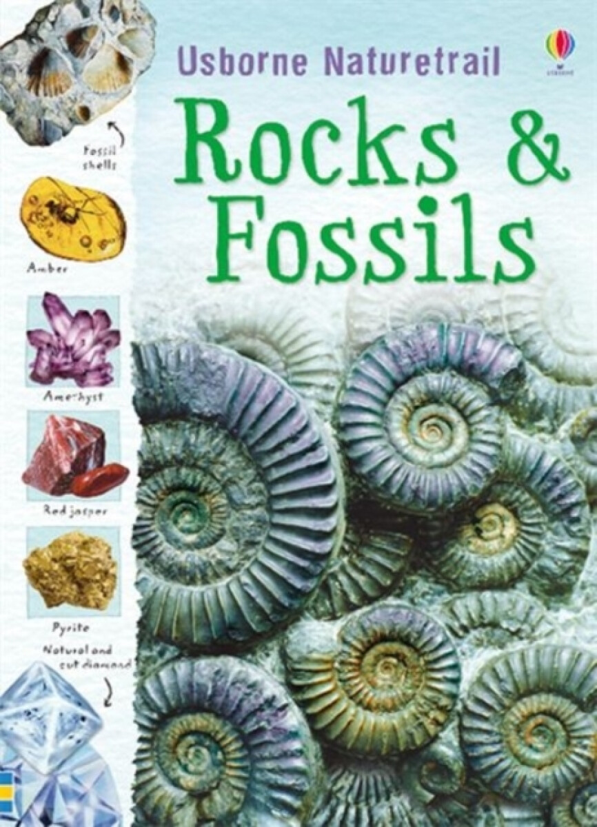 Kniha Rocks and Fossils