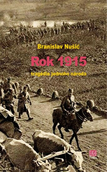 Kniha Rok 1915 - tragedie jednoho národa